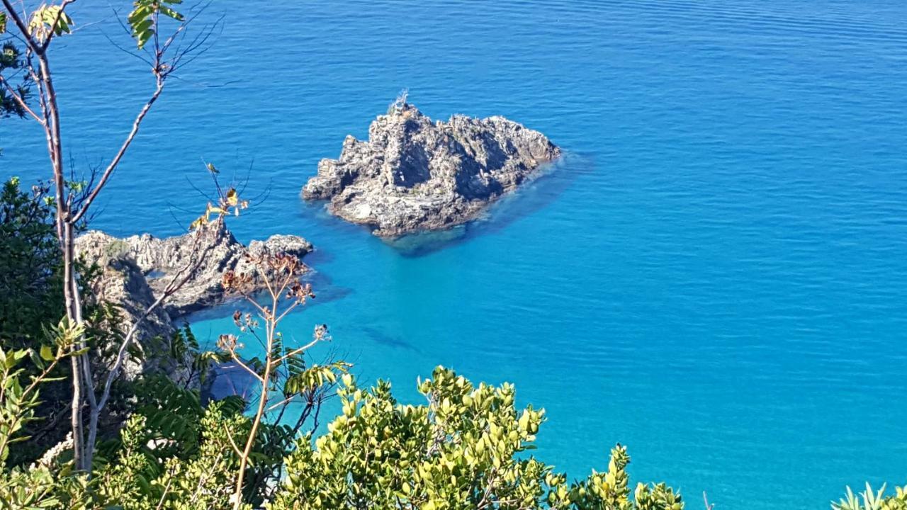 Civico 64 Bed & Breakfast In Mansarda Palmi Dış mekan fotoğraf